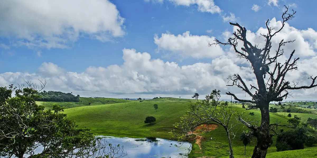 Vista de Alagoa Nova