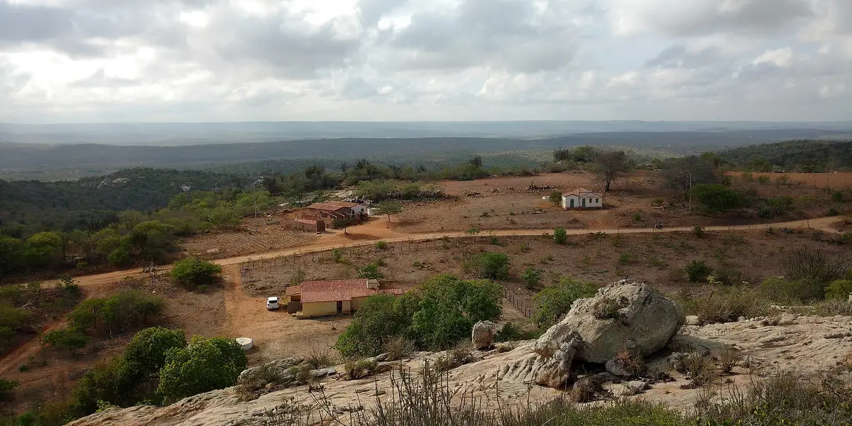 Vista de Algodão de Jandaíra