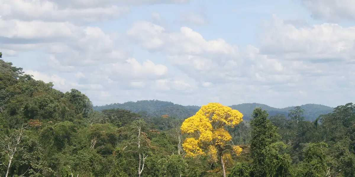 Vista de Almeirim