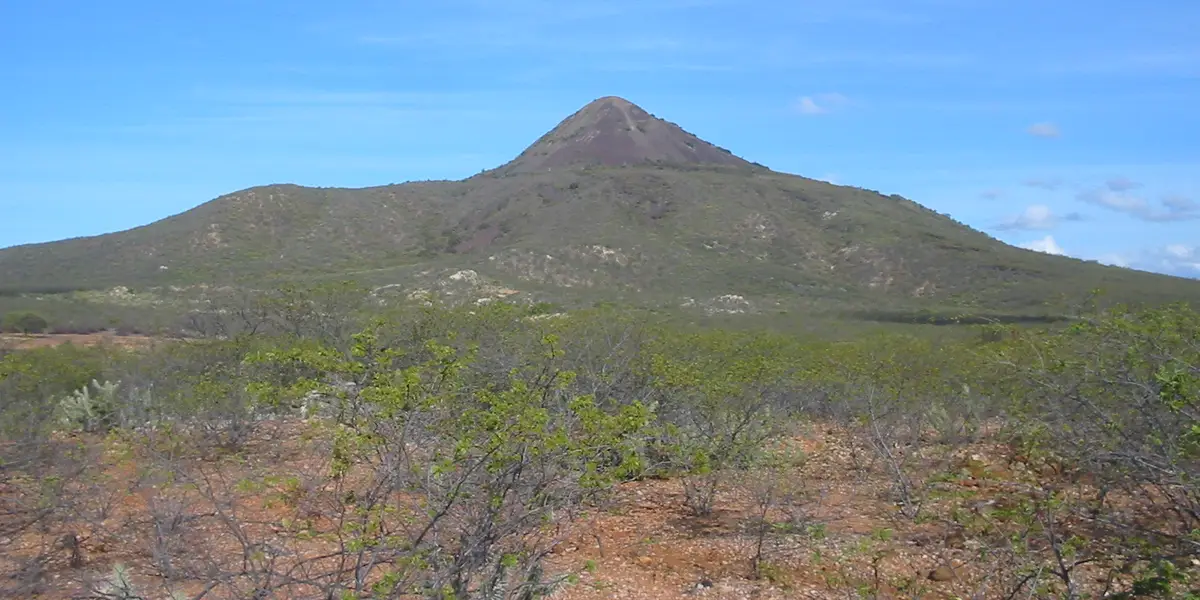 Vista de Angicos