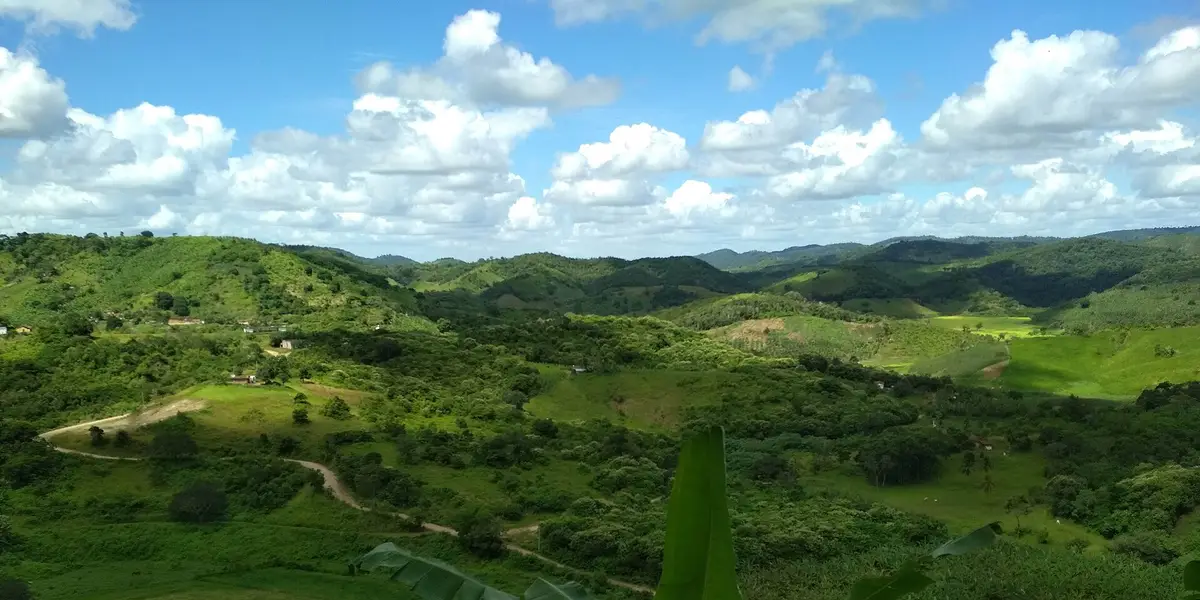 Vista de Borborema