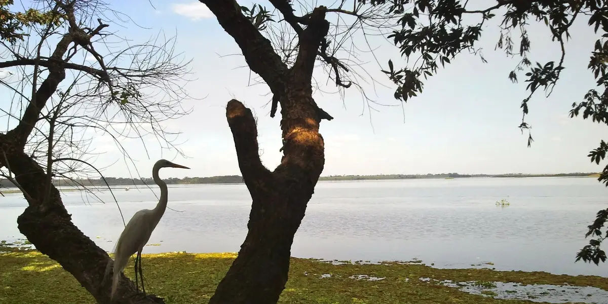 Vista de Brejo Alegre