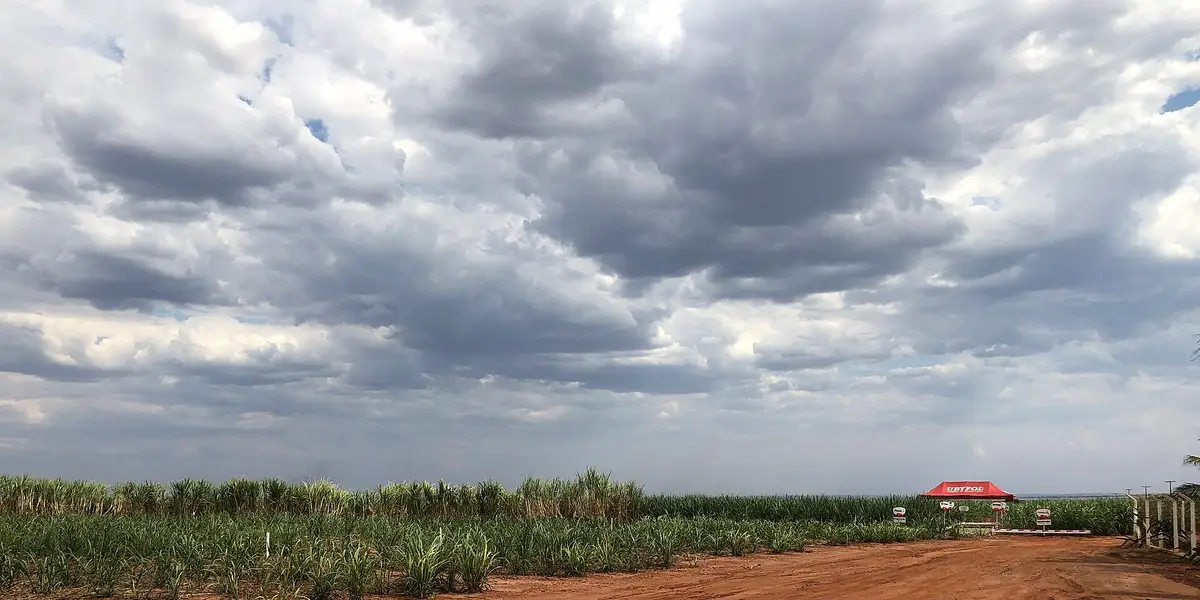Vista de Campo Florido