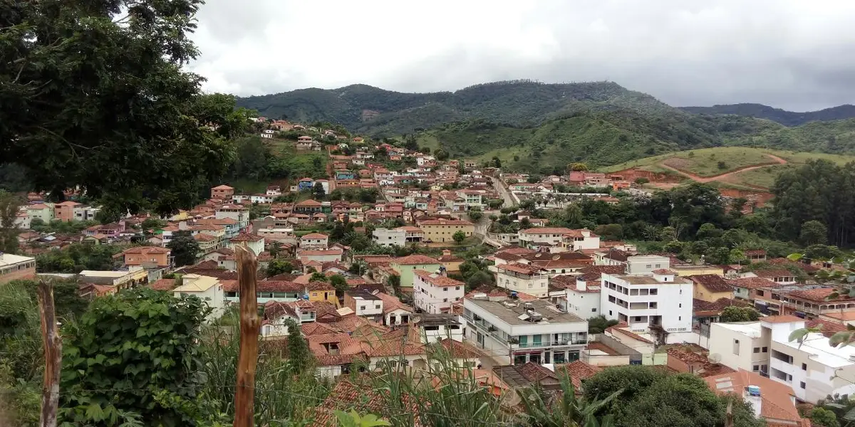 Vista de Coluna