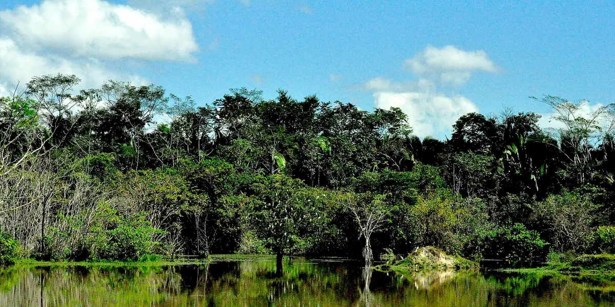 Vista de Cotriguaçu