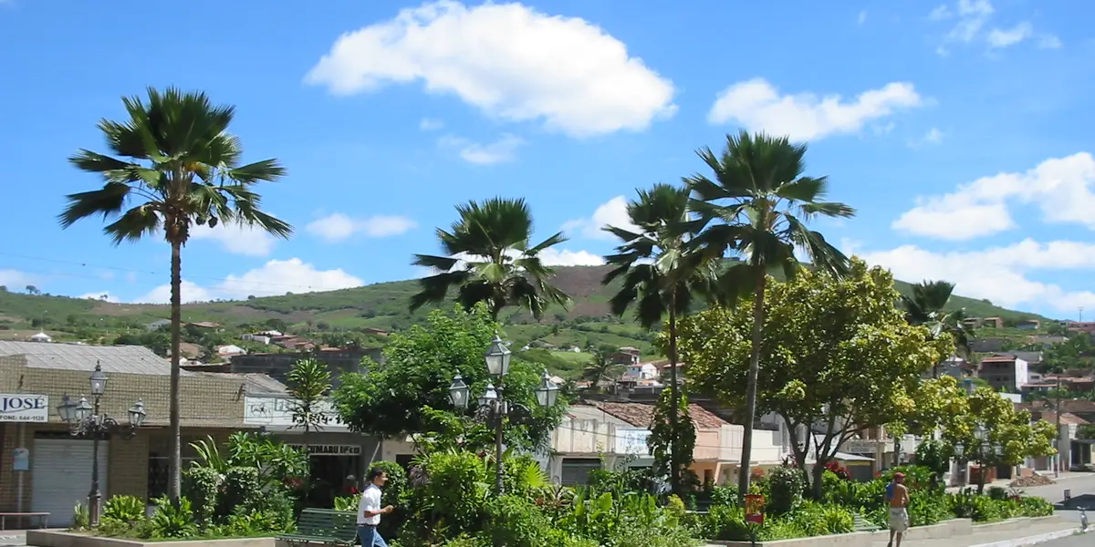 Vista de Cumaru