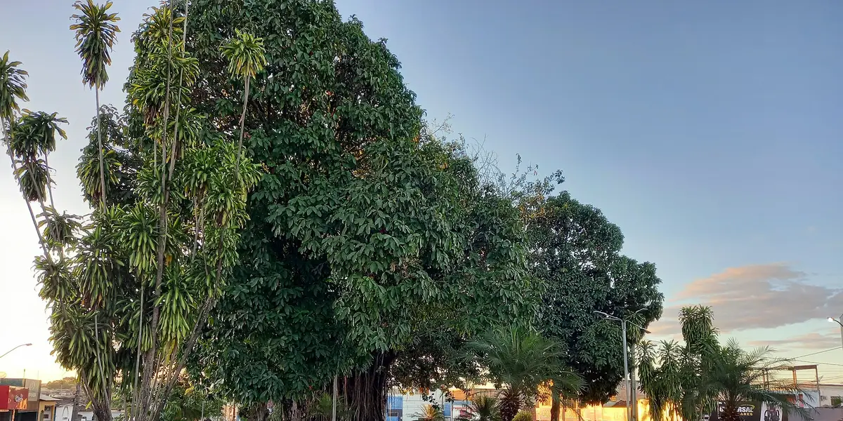 Vista de Dianópolis