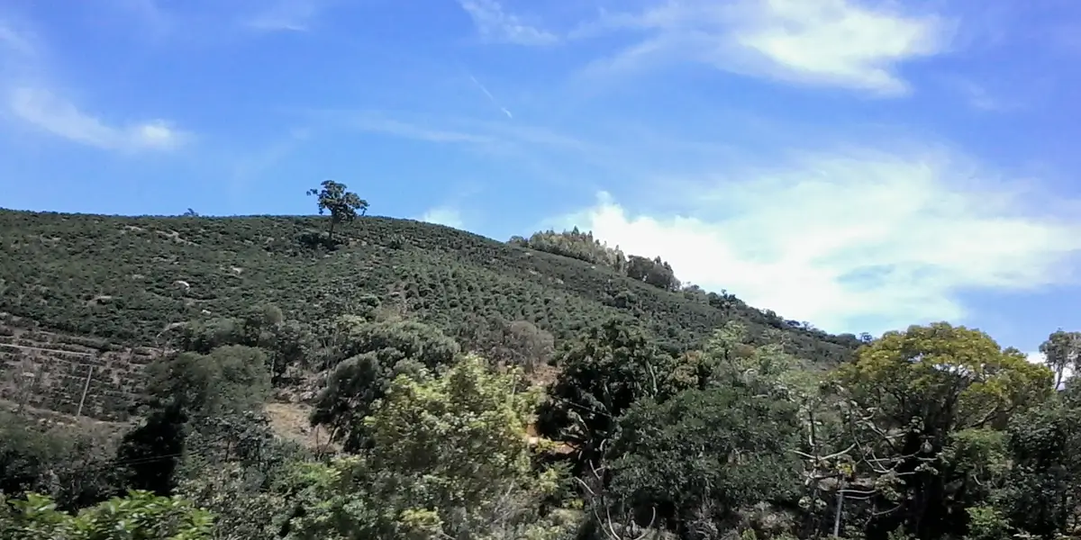 Vista de Divinolândia