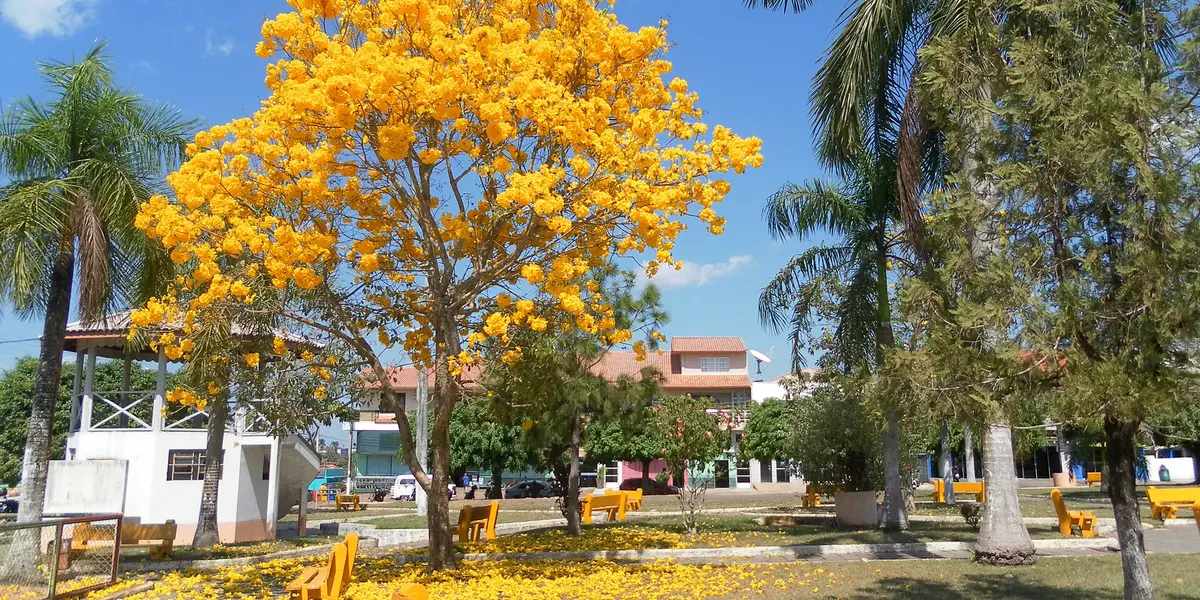 Vista de Espigão D'Oeste