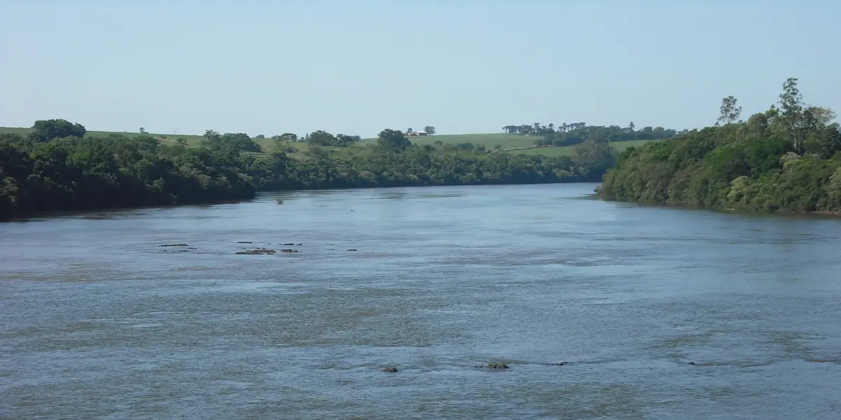 Vista de Floresta