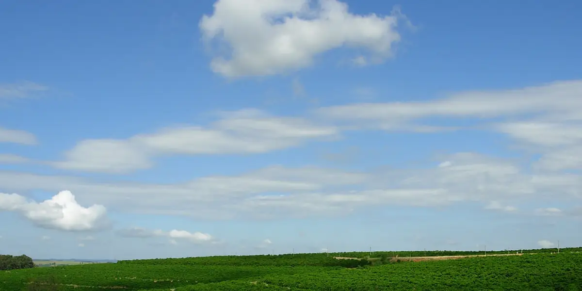 Vista de Gália