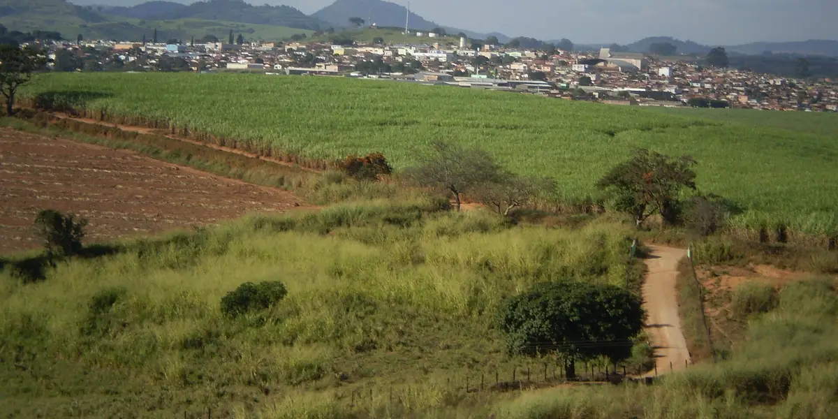 Vista de Guaranésia