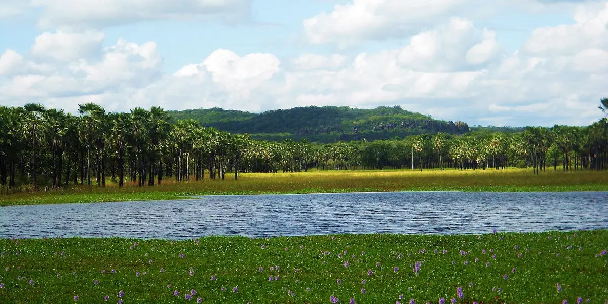 Vista de Inhuma