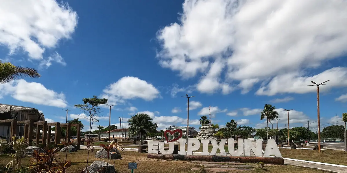 Vista de Ipixuna do Pará