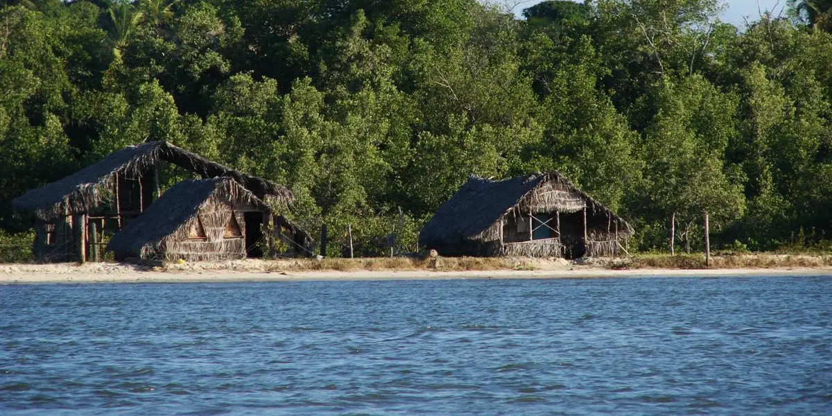 Vista de Jandaíra