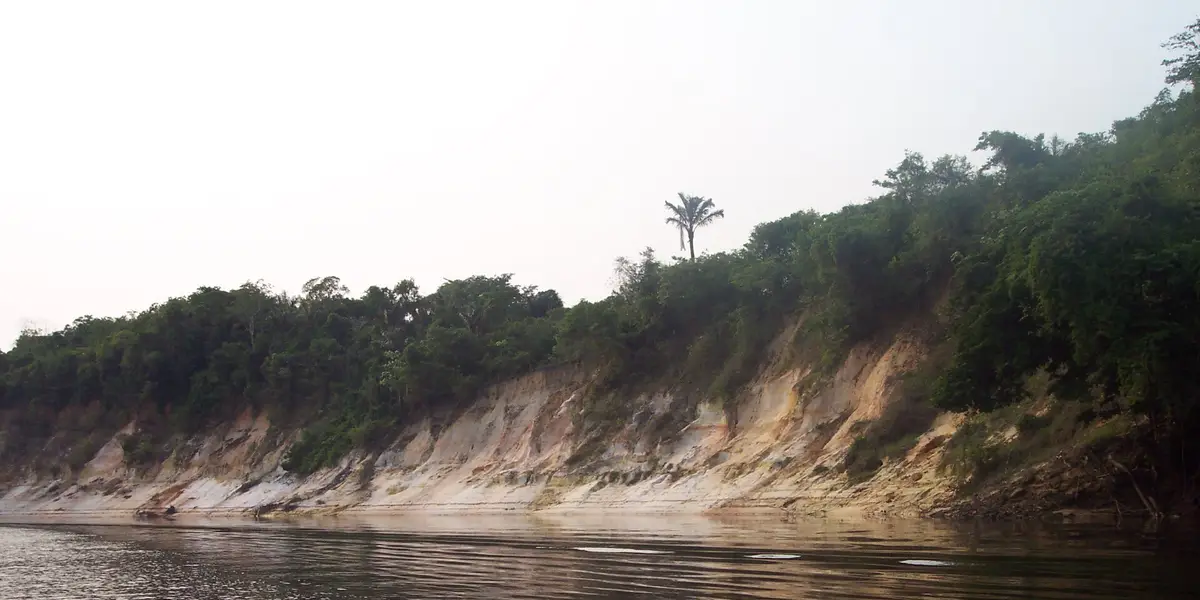 Vista de Juruá