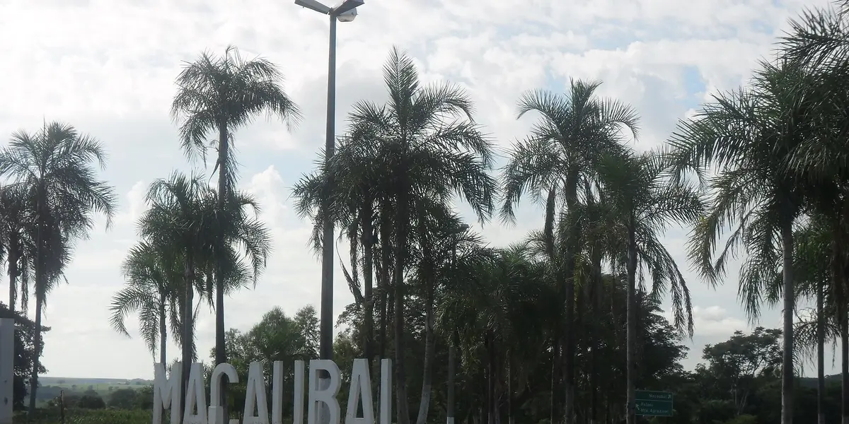 Vista de Macaubal