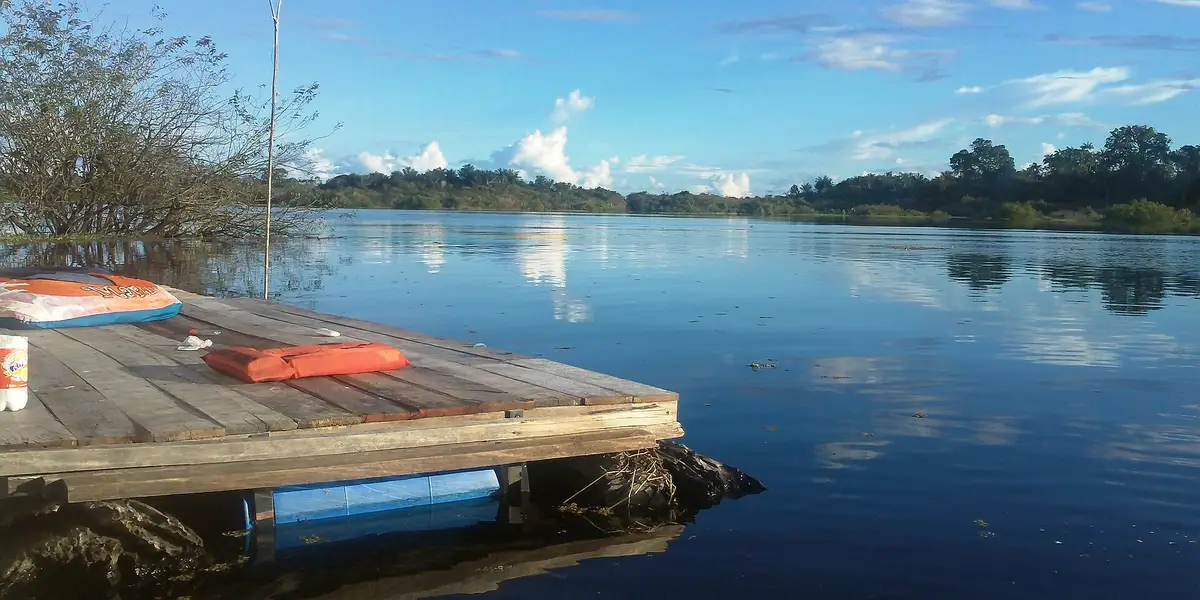 Vista de Manacapuru