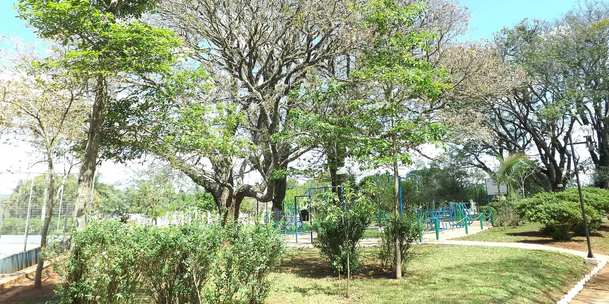 Vista de Manoel Viana