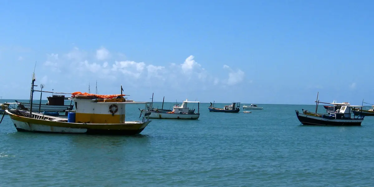 Vista de Mata de São João