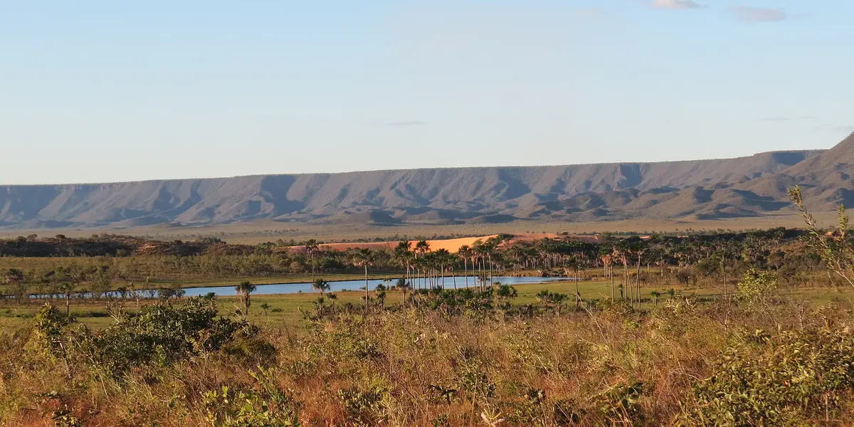 Vista de Mateiros