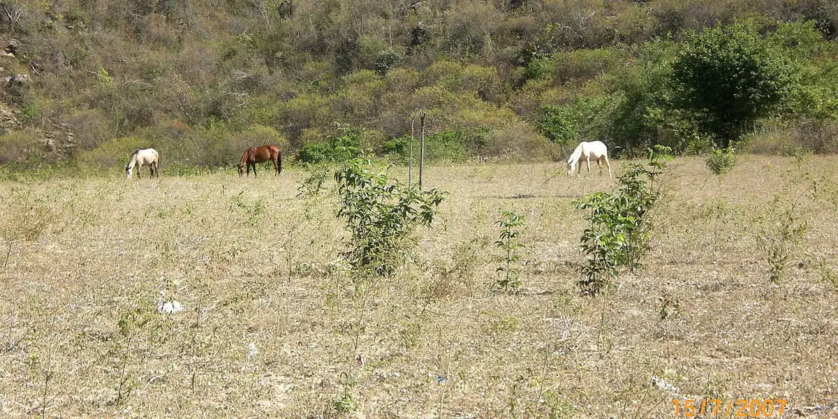 Vista de Mauriti