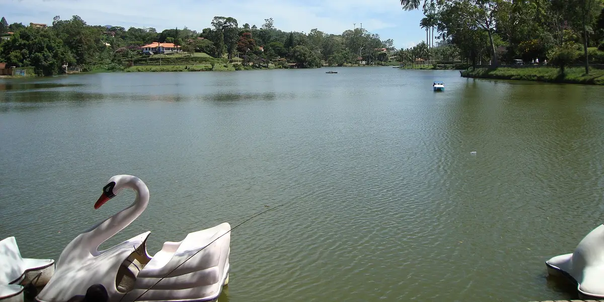 Vista de Miguel Pereira