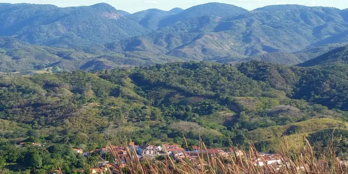Vista de Palmácia