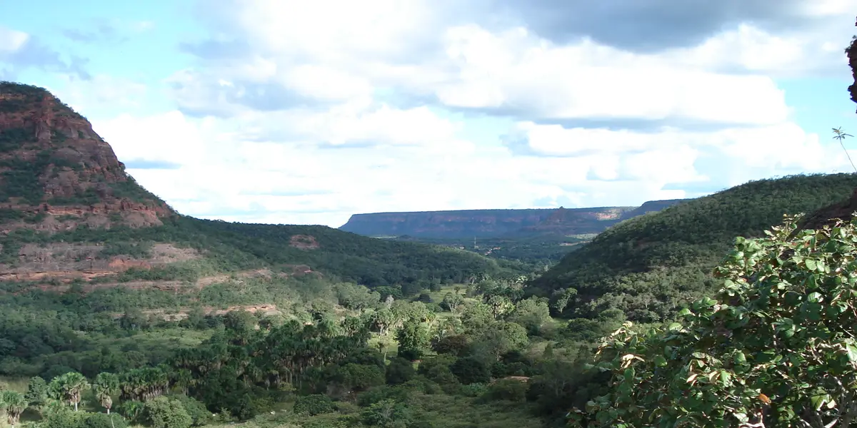 Vista de Palmeira do Piauí
