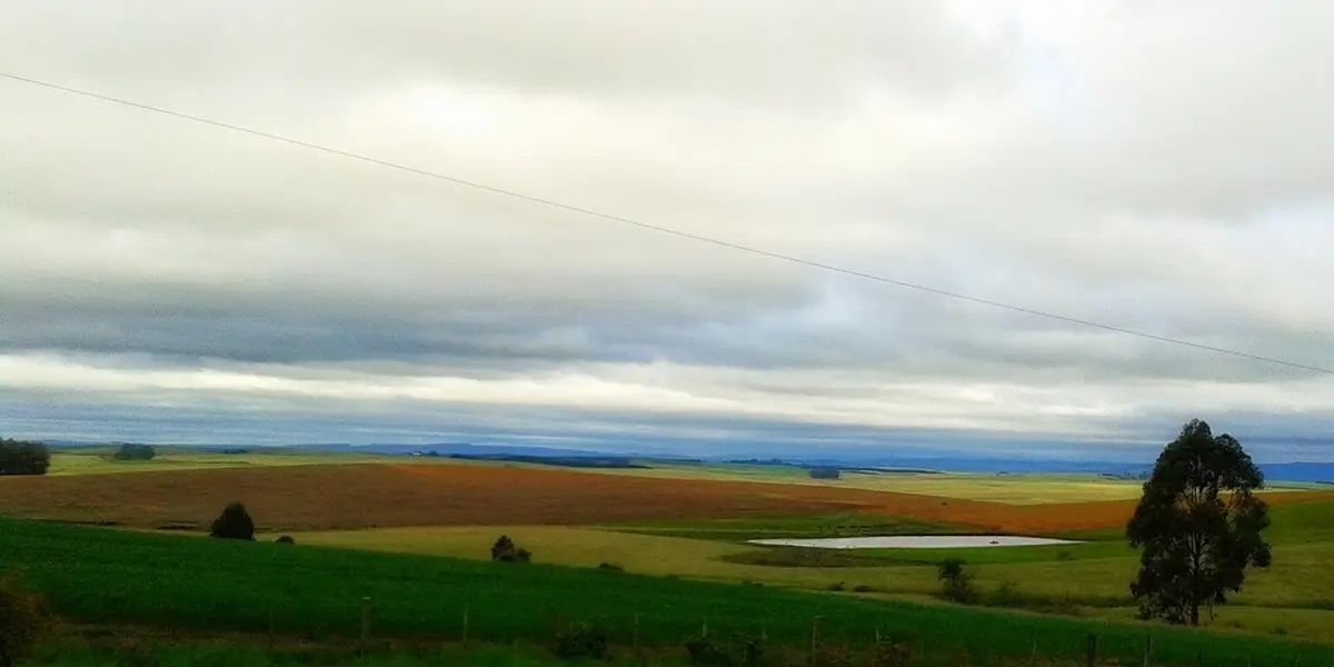 Vista de Pantano Grande