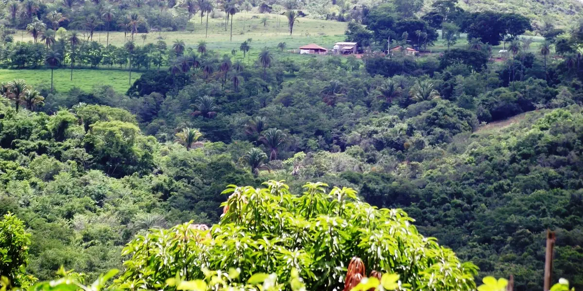 Vista de Perdizes