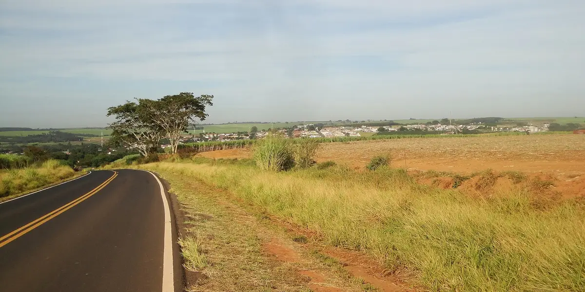 Vista de Pindorama