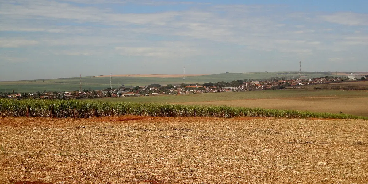 Vista de Rincão