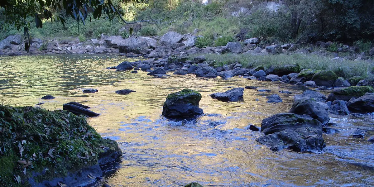 Vista de Rio Branco do Ivaí