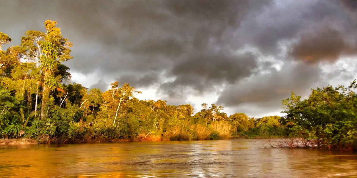 Vista de Rio Branco