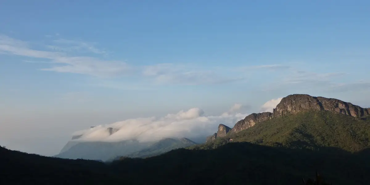 Vista de Santa Isabel do Rio Negro