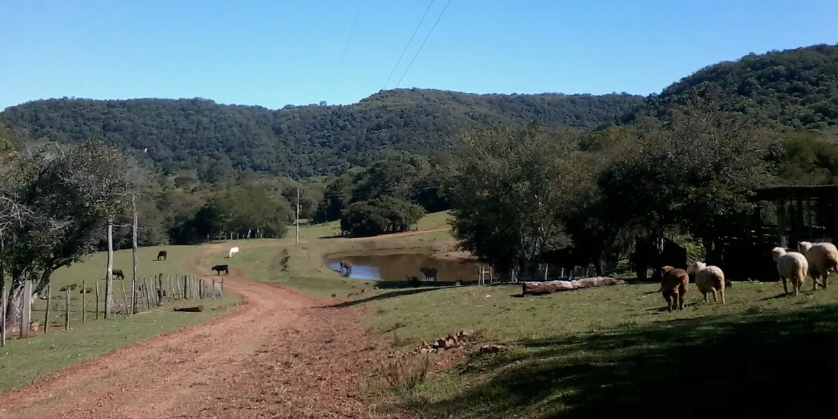 Vista de São Francisco de Assis