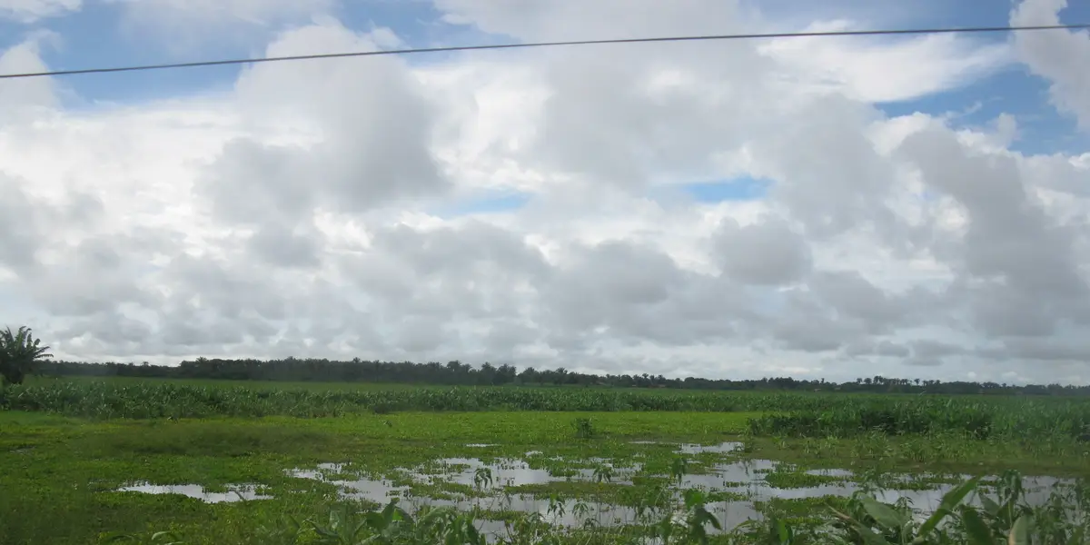 Vista de São Vicente Ferrer