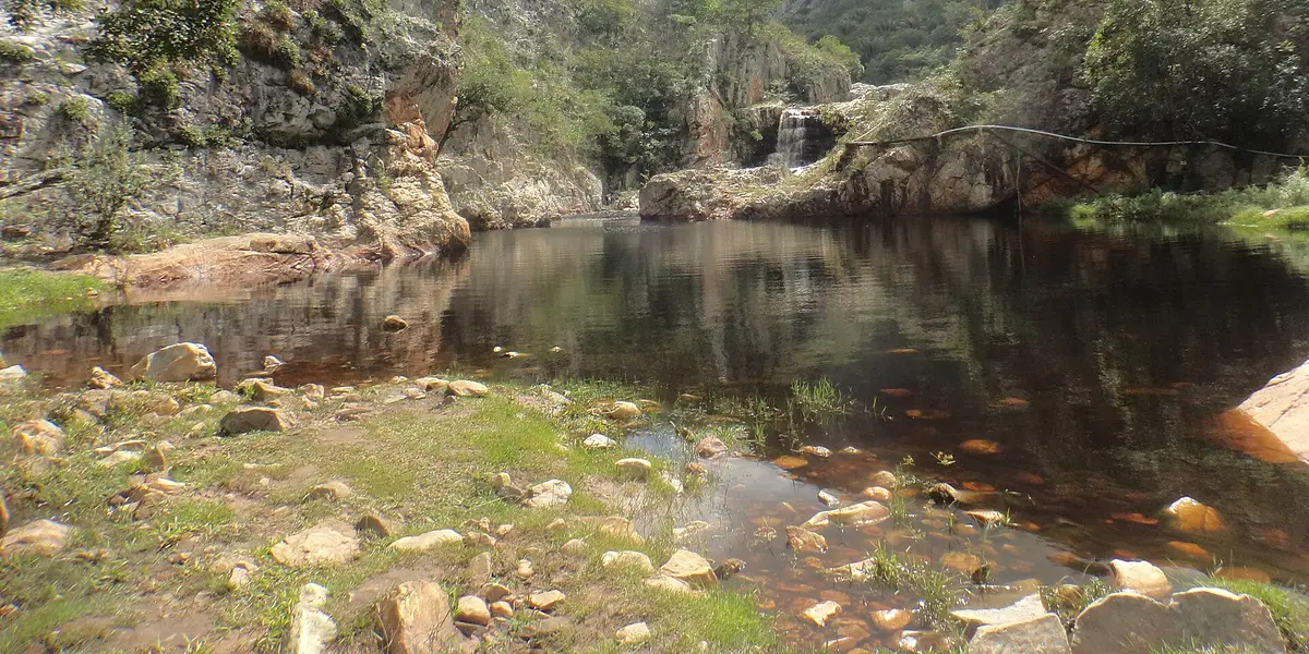 Vista de Saúde