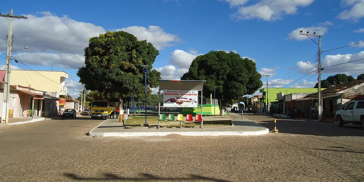 Vista de Sebastião Laranjeiras