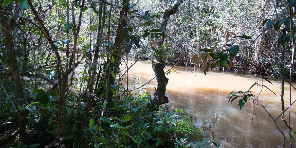 Vista de Taciba