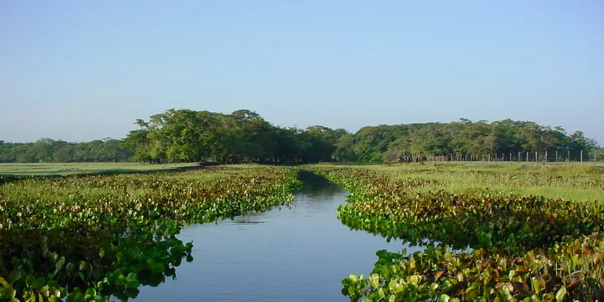 Vista de Tartarugalzinho