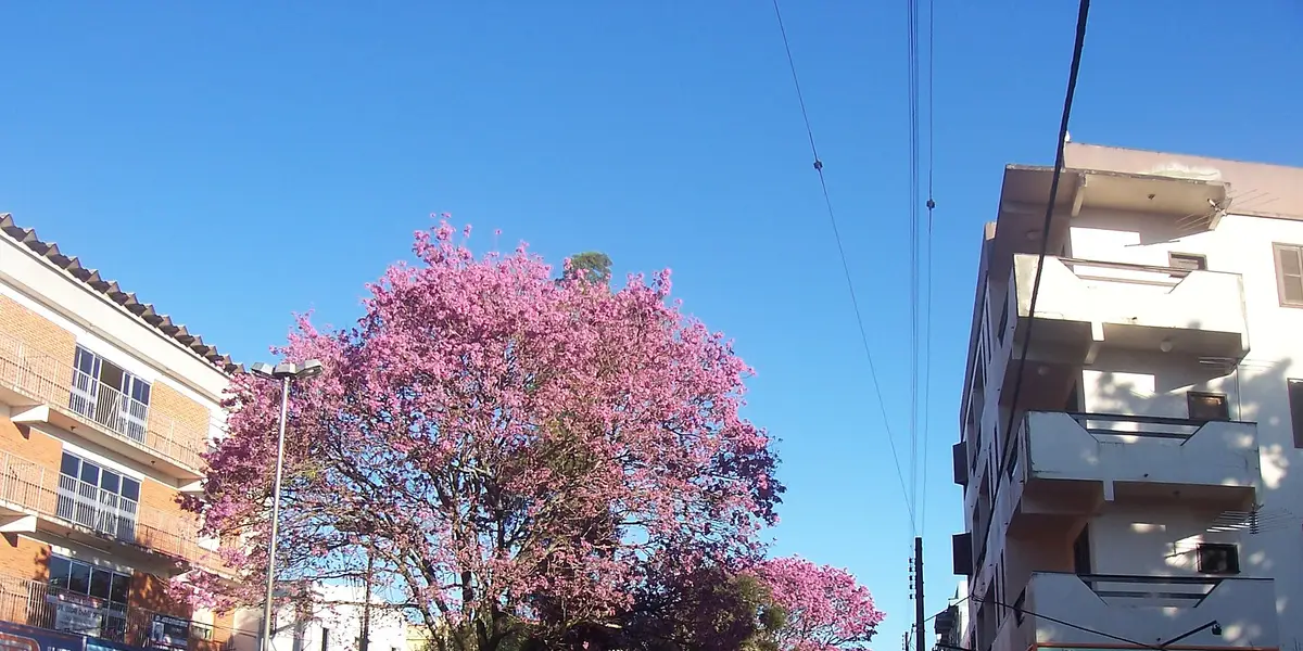 Vista de Três Passos