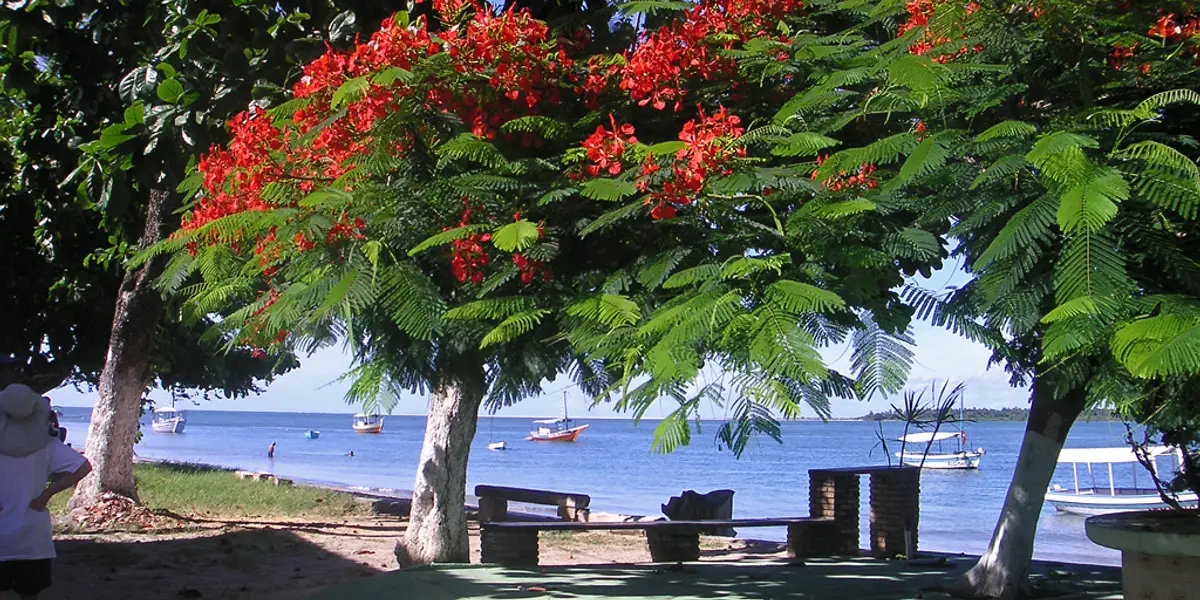 Vista de Vera Cruz